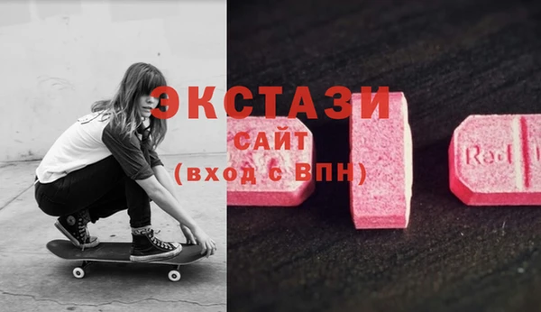 ECSTASY Елизово